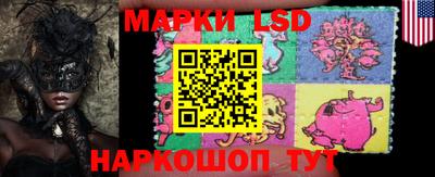 эйфоретик Малгобек