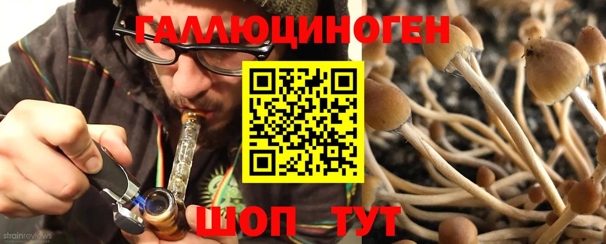 Псилоцибиновые грибы ЛСД  Вход с VPN  Псилоцибиновые грибы прущие грибы  Железноводск 